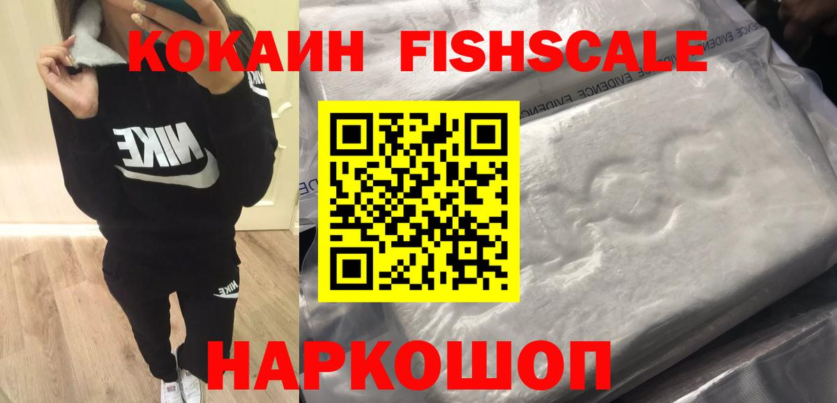 Cocaine Fish Scale  Вход с VPN  Ивантеевка 
