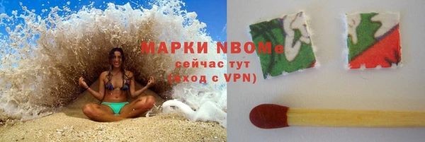 трава Корсаков