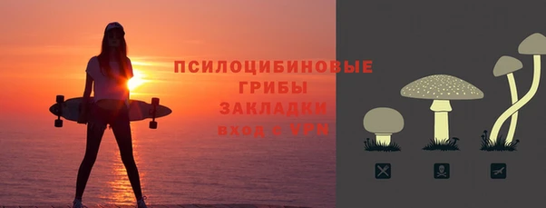 гашик Нефтекумск