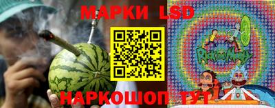 гидропоника Гусиноозёрск