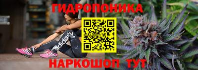 гидропоника Гусиноозёрск