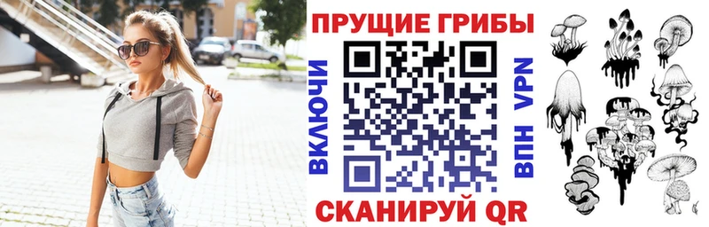 где купить   Ивантеевка  Галлюциногенные грибы MAGIC MUSHROOMS 