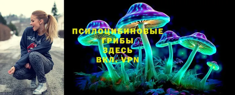 кракен ссылки  Ивантеевка  Галлюциногенные грибы Psilocybine cubensis 