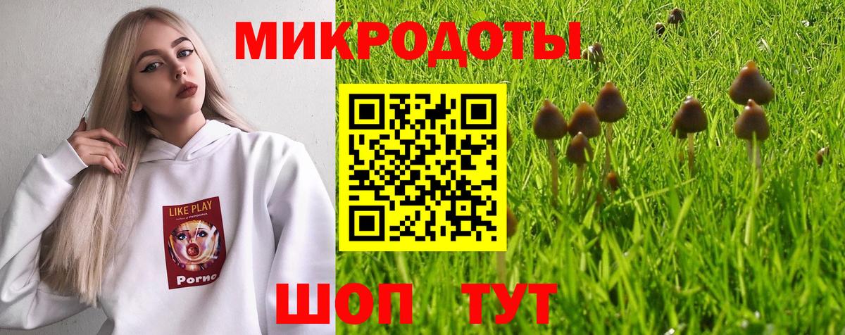 Галлюциногенные грибы Psilocybine cubensis Ивантеевка