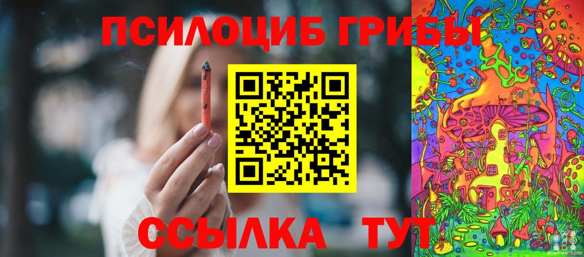 Псилоцибиновые грибы Psilocybe Ивантеевка