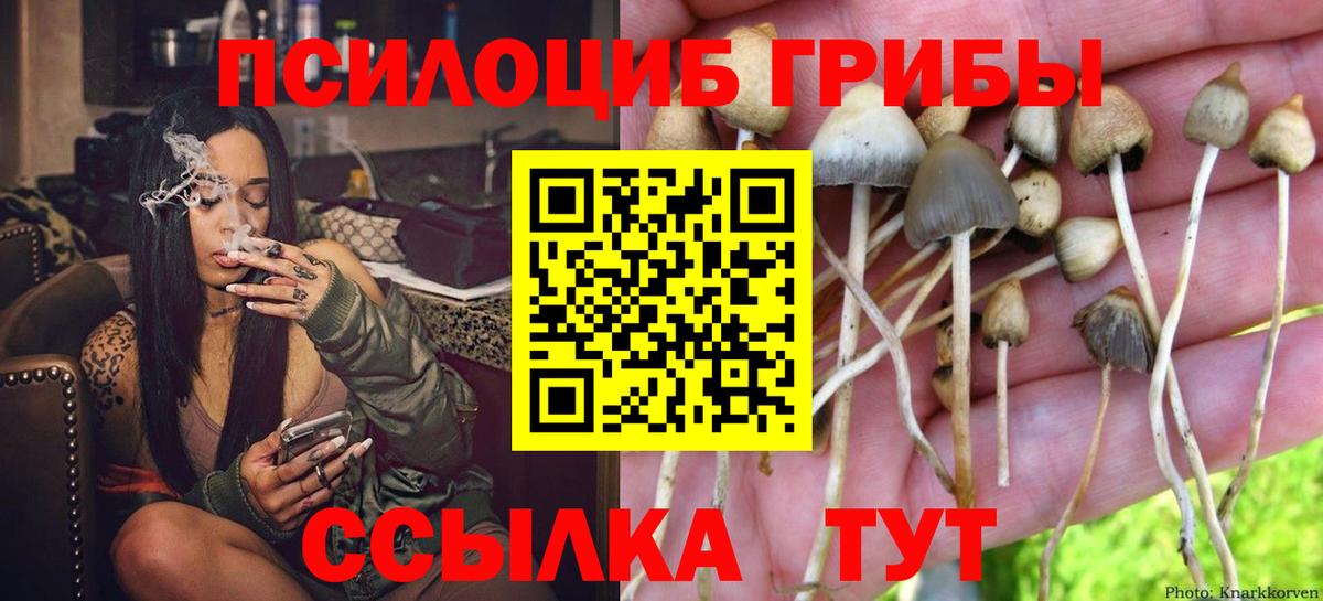 Псилоцибиновые грибы Psilocybe  Галлюциногенные грибы Psilocybine cubensis  где продают   Вход с VPN  Ивантеевка 