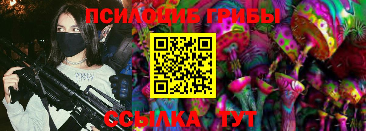 Псилоцибиновые грибы мицелий  купить наркотики сайты  Псилоцибиновые грибы Magic Shrooms  Ивантеевка 